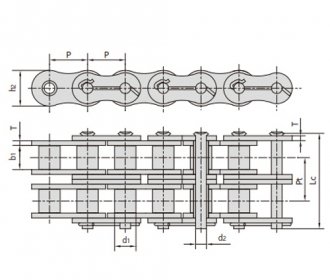 Линолевая цепь